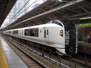 JR東日本 E259系 特急成田エクスプレス 前面 東京駅にて